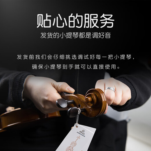 莱斯曼德专业考级演奏小提琴儿童初学成人考级西洋乐器 L008A 4/4