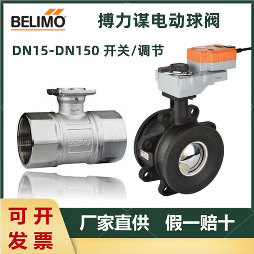 Bolimou SR / NR / LR24A / LR230A / AGRACTION DE BALLE RÉGLAGE / SUPPORT ÉLECTRIQUE R679AO (DN80 Valve à billes bidirectionnelle)