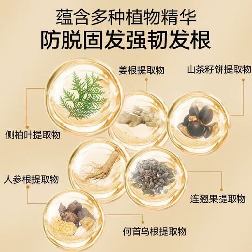 拜迪生物洗发水植物萃取滋养发根修护控油清爽净澈SN9720 240ml*1