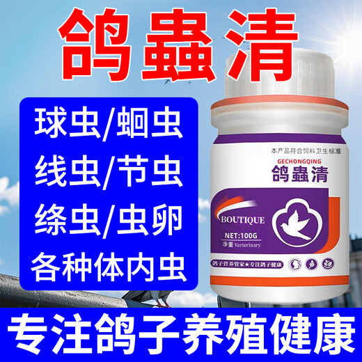 Tianyi Hong Pigeon Chongqing genuine Pigeon Chongqing Coccidia Trichomonas safe breeding racing pigeons homing pigeon breeding pigeon general feed additive Pigeon Chongqing 1 bottle