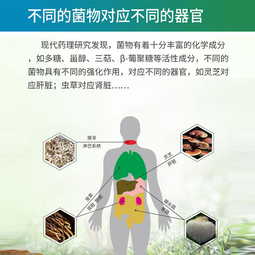 Mycosun-Chemorkenner und Chemotherapie Ernährungsprodukte Maikeshanjiao Ernährungsintervention Ernährung Pilzzuckerfreies Verbindungspulver nach Chemotherapie-Chirurgie Atemwegs umfassendes Rezept (Free Service + Anti-Transformation)