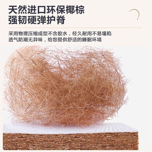 Wen Minxuan-Sofa-Bett-Klappbett integriert und doppelt 2025 Neue kleine Wohnung Single Multifunktionsbett hellgrau 70 cm breit [hoher elastischer Schwamm]