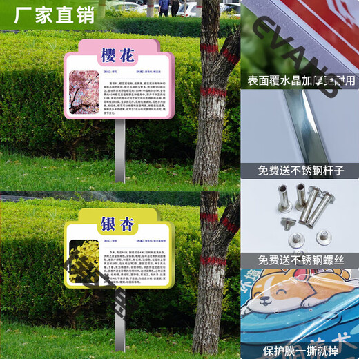 Ground type tree brand school park stainless steel plant greening information sign tree introduction sign care imitation CDSP-18 (surface covered with crystal + pole) 50x70cm