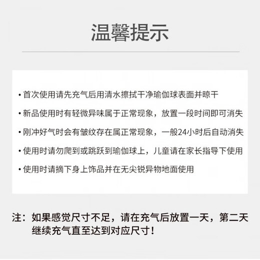 Zailu thickened explosion-proof Pilates yoga ball dance children's sensory training pregnant women midwifery ball fitness yoga ball purple upgraded thickened air pump backup air plug air pull 45cm