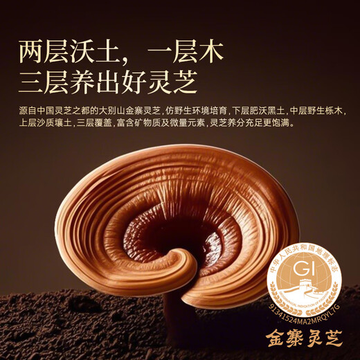 Zhizhengyuan Breaking Wall Ganoderma Lucidum Spore Cápsula de polvo Caja de regalo Regalo para padres Productos nutricionales y productos de salud Inmunidad fuerte El 95% de las personas eligen [4 cajas de ciclos] Profundos nutritivos del cuerpo