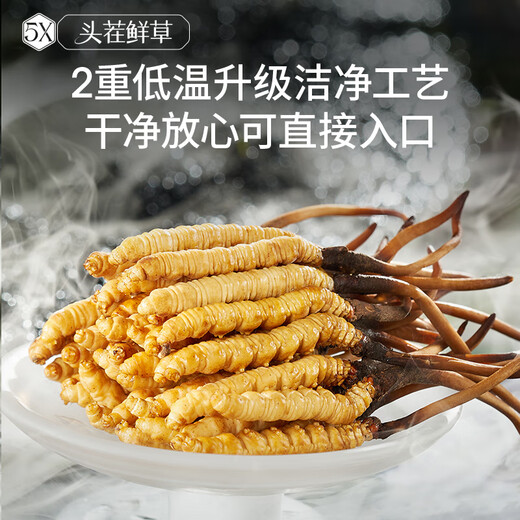 Ayishe Fresh Cordyceps sinensis 1.2G/20 ROOTS SPONGA CORDYCEPS FRESTA [CAMBO EN LA FUENTE]