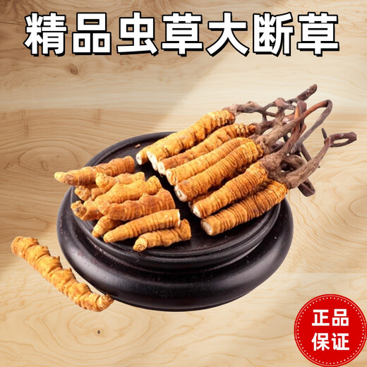 Cordyceps sinensis hohe Höhe Cordyceps echte nahrhafte 20 Gramm erhalten 2 Gramm für selbstverwendungs ​​authentisches Heim-Outfit. Kaufen Sie 10 Gramm erhalten 1 Gramm