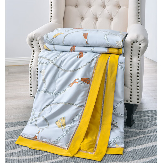 
Silk satin silk quilt soft and skin-friendly dream enjoyment QFS12129