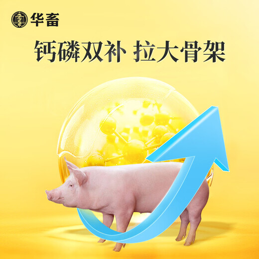 Huazhu 4% growing and fattening pig premix small, medium and large pig compound premix feed skeleton pigs eat 1 bag of growing and fattening pig premix 40Jin Jin equal to 0.5kg