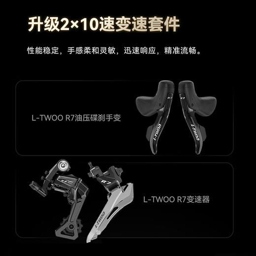 喜德盛（xds）xds ad300喜德盛ad300 25款山地车喜德盛公路车公路自行车喜德盛 2025款|白蛇 700Cx510mm|身高175-185cm