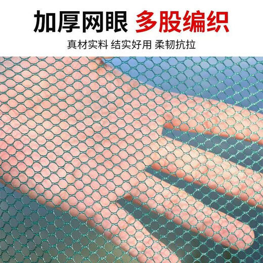 Yingtang open folding fishing cage, shrimp cage, round fishing net, lifting net, moving net, platform net, fishing net, lobster net, catching fish and moving kite, thickened upper circle 2 meters, lower circle 1.5 meters high, 65 cm. Free with order, bait + floating ring + drawstring + bait bag