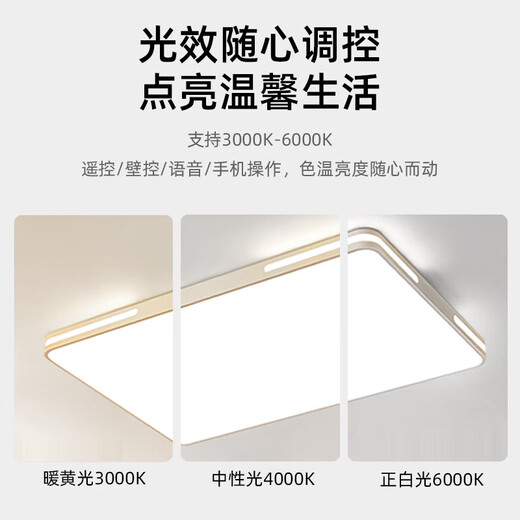 XMSJ PAQUETE DE SPECTRUM Full Spectrum Zhongshan Lámpara de sala de estar Lámpara principal de lámpara de techo LED rectangular simple moderno Protección de oculares de espectro completo RA9738*38CM-36W-