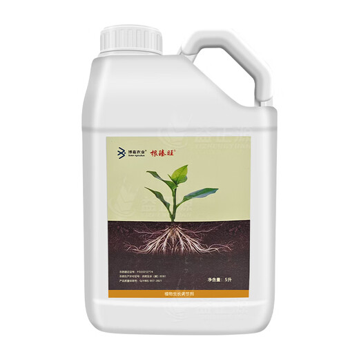 0.075% Indole Acetic Acid Naphthalene Acetic Acid Rose Root Promoting Root Cutting Promotes Cutting Germination Plant Growth Regulator 5L 1L*5 Bottle