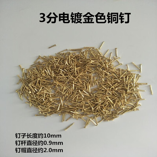 奥洛勋定制0.9mm电镀金色细铁钉 表面镀铜钉子平头黄色鞋钉 鞋材五金 装 长度22mm（500克）约3880个