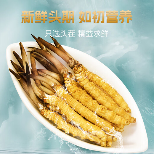
Zangqingyuan [First stubble fresh grass in 2025] Fresh Cordyceps sinensis, fresh Cordyceps in the first stage, fresh grass selection gift box, fresh grass 0.7g/root, 30 roots
