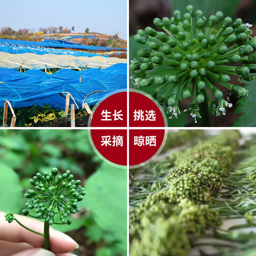 人参花 长白山人参花茶 人参花蕾 泡水泡茶煲汤泡酒料 人参花 50g