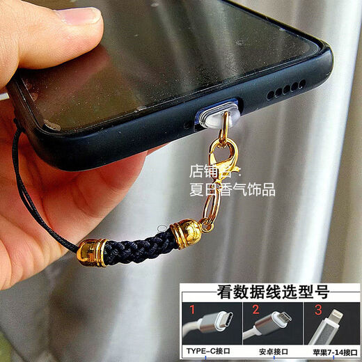 Mobile phone charging port dust-proof plug simple color lanyard hole jewelry pendant rope chain couple male and female student gift golden big red rope Apple 15 interface oval plug single plug
