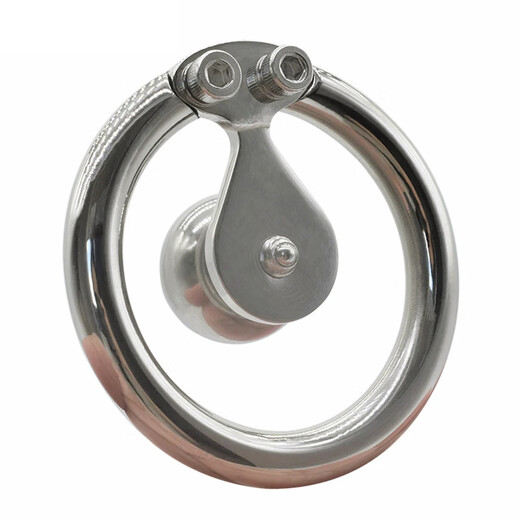 Doppelschraube Edelstahl Flachplatte Negative Elektrodenzahl Penis Käfig männlicher Wunschsteuerungssteuerung Leidenschaft Keuschheitsschloss 15850 mm Runde