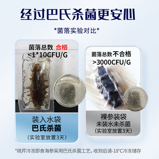 Xiaoqin Dalian frozen ready-to-eat sea cucumber 500g 10-14 pieces * 2 bags Liao sea cucumber seafood aquatic products non-gift box