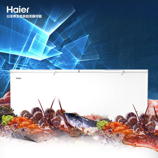 Haier-Gefrierschrank [Nationaler Subvention] 300/305/308/369/429/519 Liter Haushaltshaushaltshaushalter geschliffen