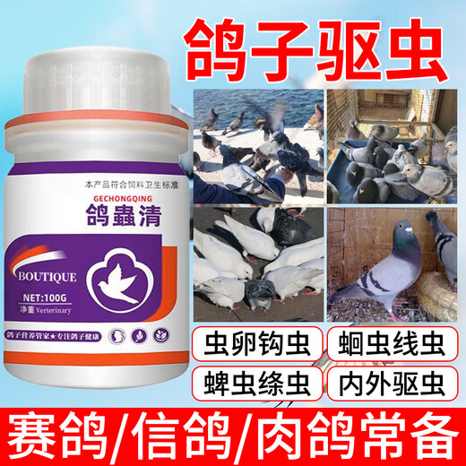Tianyi Hong Pigeon Chongqing genuine Pigeon Chongqing Coccidia Trichomonas safe breeding racing pigeons homing pigeon breeding pigeon general feed additive Pigeon Chongqing 1 bottle