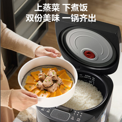 苏泊尔电饭煲电饭锅4L陶晶不粘内胆3-4人微压焖香功能家用智能微压电饭煲巧克力色40FC829 3l小容量一煲多功能 3l 3L