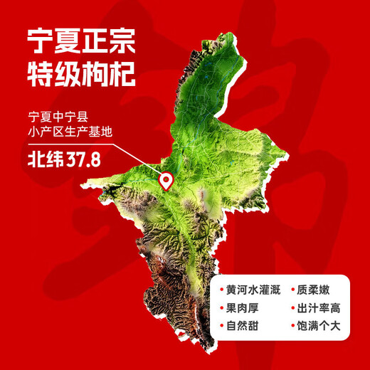 Ningxia Red Wolfberry Powder Raw Authentic Fresh Wolfberry Juice Beverage NFC Juice Fruit Fruit Pas de soufre fumé pas d'additif JNJ POUDRE RUPEE DE WOLFBERRES RED 1 SAG (30 ml * 1 sac)