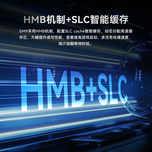 宏碁掠夺者（PREDATOR）1TB SSD固态硬盘 M.2接口(NVMe协议) GM9系列 NVMe PCIe 5.0读速14000MB/s AI电脑存储配件