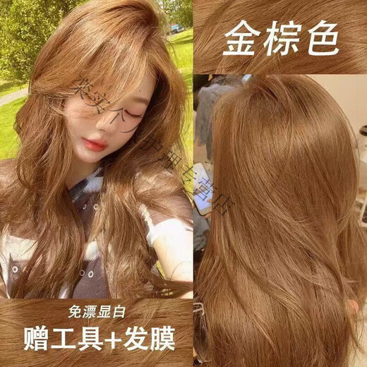 爱琳伊尔染发剂植物榛果灰棕色女生染发冷棕色染头膏校园风流行色显白免漂 浅棕色677