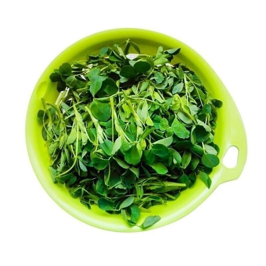 Edible Alfalfa Healthy Wild Rapeseed Summer Alfalfa Sprouts Four Seasons Hardcover (5 packs, about 9000 capsules)