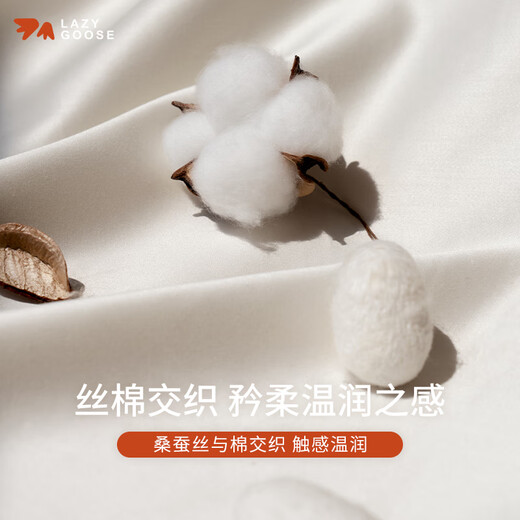 LAZY GOOSE懒鹅真丝棉纱布双面儿童被100%桑蚕丝新生儿毯子婴儿四季被子