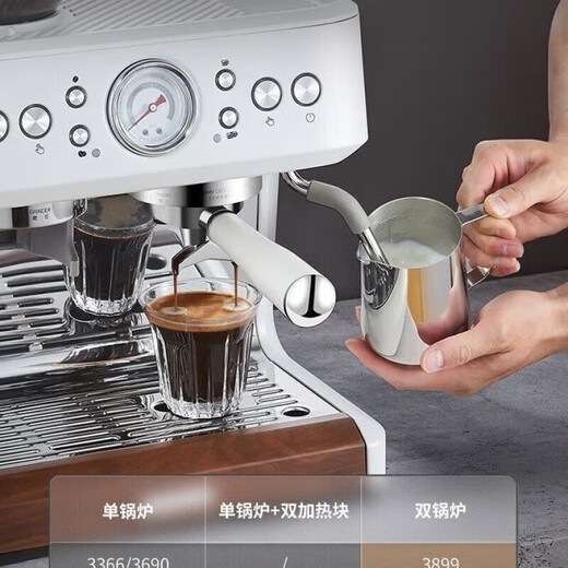 Baicui PE3899 dual boiler Italian full semi-automatic coffee machine household milk frothing machine grinding machine small machine