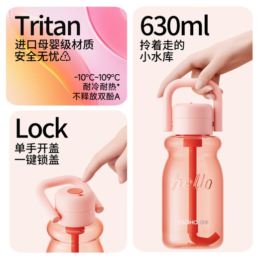 HOLOHOLO large-capacity water cup, good-looking Valentine's Day annual party gift for men and women, portable straw tea cup for children and students