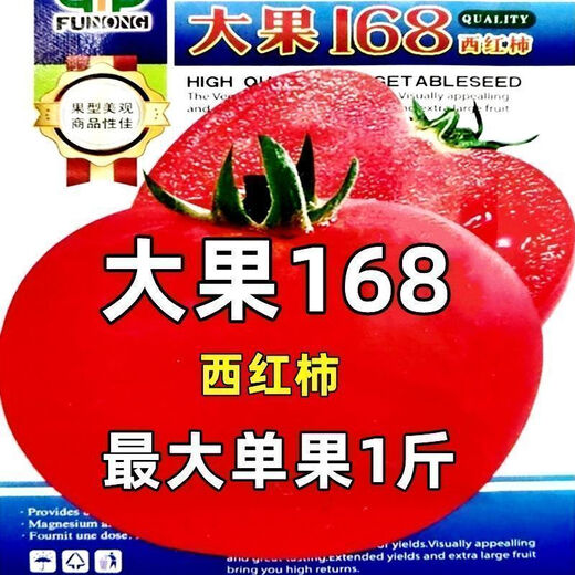 Big fruit 168 tomato seeds super sweet heat-resistant old variety tomato seeds high yield southern big fruit tomato seeds DF5562 original high yield new species 1000