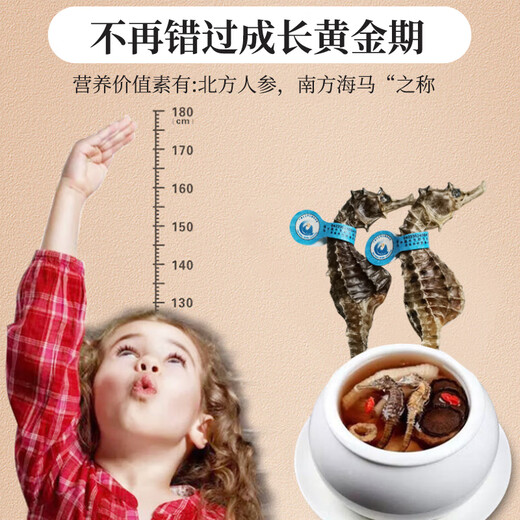 Haima medicinal materials, one male and one female, large seahorse dried wine combination, hexagonal sea dragon sea sparrow nourishing soup gift box 1 pair 4 grams (2 male and female 12-13cm)