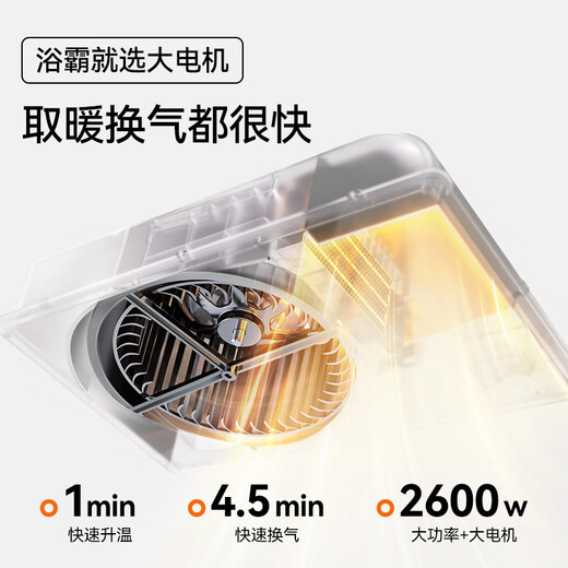 AUPU Bath Heater E172 Air Heating Bath Heater Slim Bath Heater Strong and Weak Air Heating Large Lighting Suitable for Integrated Ceiling