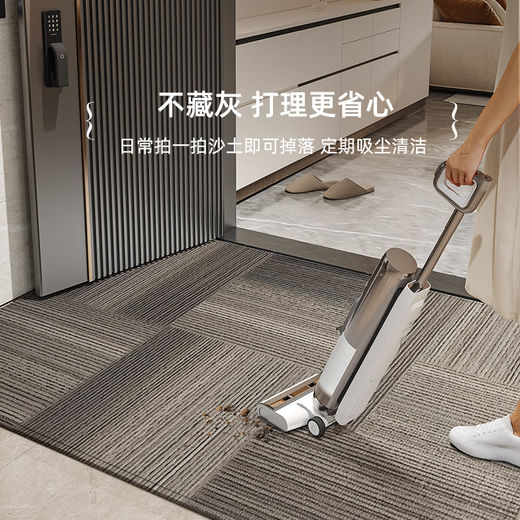 入户门地垫2025新款感进门门口脚垫防滑耐脏门外门垫玄关地毯 静波-竖版15926 60cm*90cm