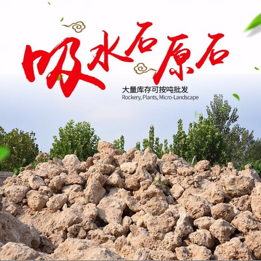 Stone flowerpot absorbent stone water stone original stone natural flowerpot with asparagus bamboo and calamus succulent plant micro landscape pot 13-17cm stone pot + small leaf red phoebe package one