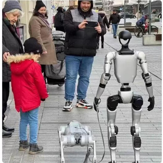 Uniree Robot Unitree Humanoid Robot Yushu Nouvelle humanoïde AI Incarnation Open Source Uniree Précommande G1 Modèle de base 99000