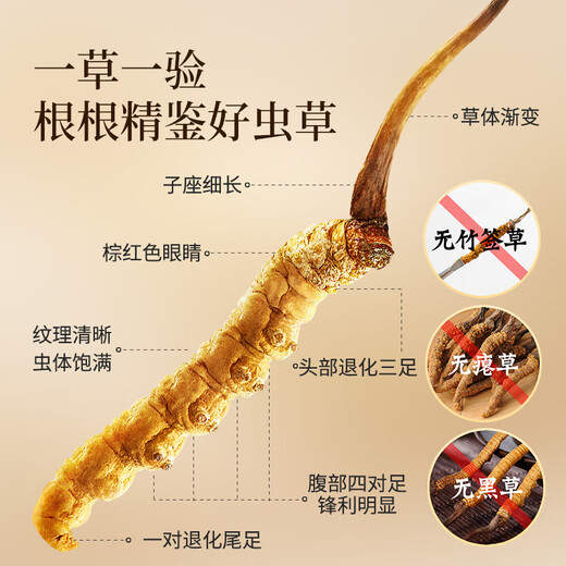 雷允上冬虫夏草4根/g 约10g约40根 滋补养生礼品补品送长辈父亲节礼物