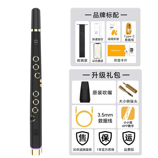 ROBKOO锣钹小小笛电吹管国产真采样萨克斯电笛子入门吹奏乐器初学者 黑金【真采样 50种音色】