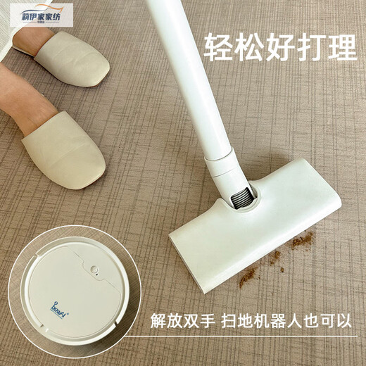 喜家隆（Hey kalo）地毯不规则卧室客厅异形沙发茶几毯免洗可擦家用防水垫子耐脏地垫 现代8475 160*230cm【客厅】