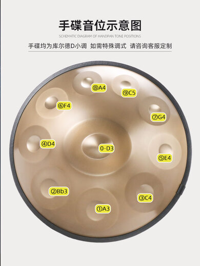 白龙吟Handpan手碟鼓乐器D小调打击乐器入门级初学专业手碟9音10音12音 太阳鸟 12音【专业款】