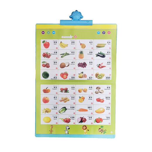Duoduozai Reconnaissance de l'éducation précoce et audio Double face voix voix rechargeable Disole de discours Paper Literacy Carte d'illumination des enfants