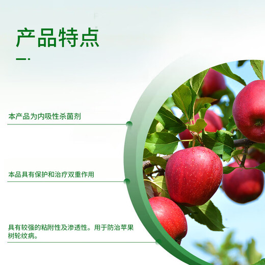 Syngenta Wingselect 70% thiophanate methyl apple tree ring sheath blight plant sheath blight pesticide fungicide 1kg*1 bag