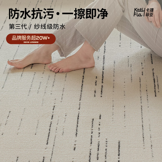 Cartifiya waterproof, non-slip and anti-stain living room carpet Xinsongxue 240*340cm light luxury style