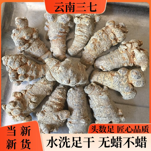 
Rely on the farm. Sanqi Yunnan Sanqi Head Textile Mountain Wash without Cutting No Cutting No Waxing Tianqi [15 Head No Cutting No Cutting / 500g Gift Box]