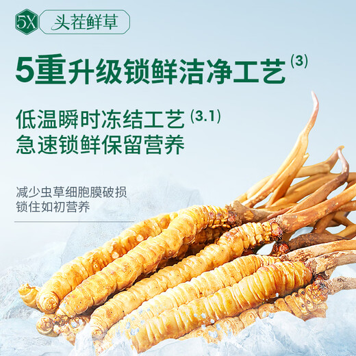 Ayishe Der erste frische Cordyceps sinensis frische Cordyceps -Geschenkbox im Jahr 2025 wird an die Ältesten im Drachenboot Festival Geschenk 1 Gramm/Wurzel 50 Geschenkboxen geliefert
