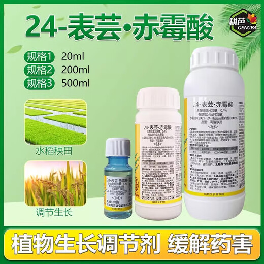 24 table Brassica gibberellic acid gibberellin tea germination grape plum fruit tree flower and fruit preservation medicine special pesticide pesticide 1000g 20g x 50 bottles