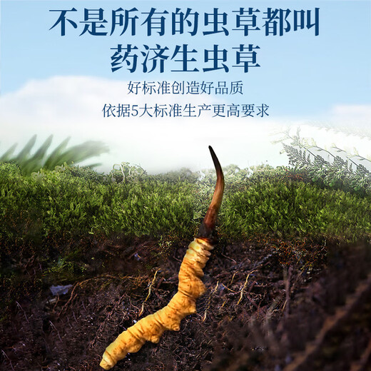 
Yao Jisheng freeze-dried Cordyceps 5g gift box Cordyceps OCC official flagship store gifts for parents and elders to give gifts to parents and high-end gifts to others